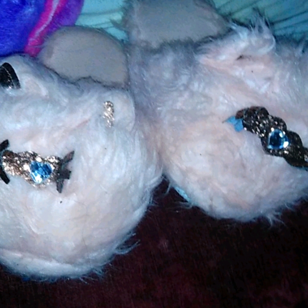 kitty slippers.. 10/11 LARGE